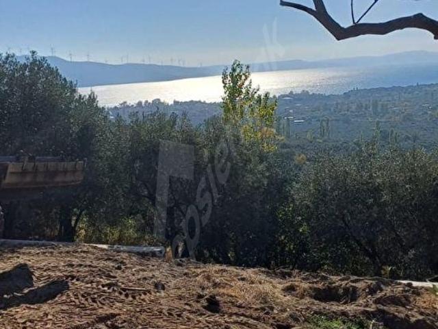 Çeltikçi Mahallesi, Erdek içerisinde satılık mülk