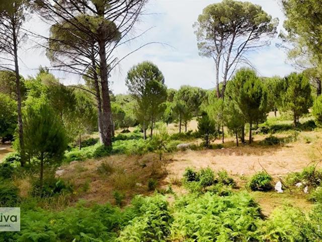 Bergama, İzmir içerisinde satılık Arsa