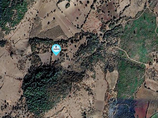 Çalıbahçe Mahallesi, Bergama içerisinde satılık Arsa