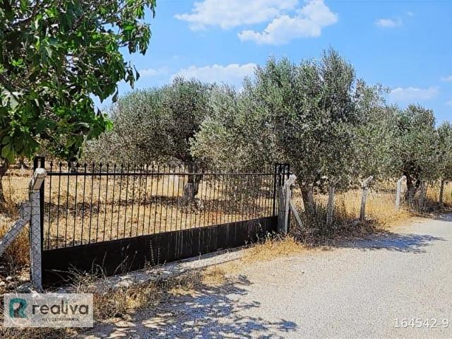 Bozköy, Bergama içerisinde satılık Arsa