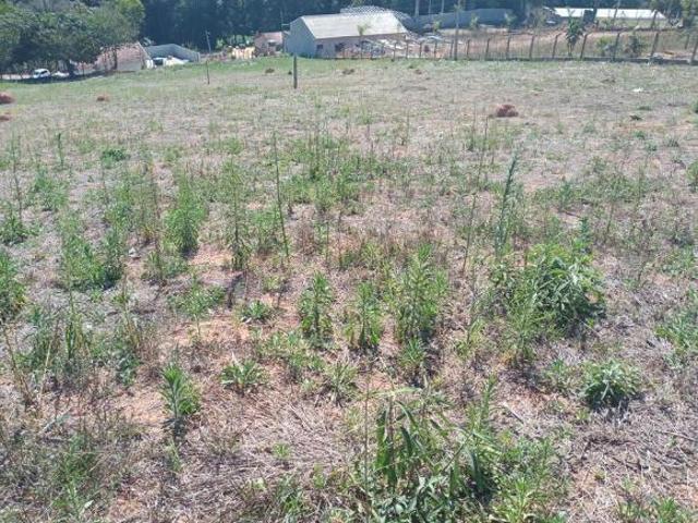 Terreno venda em Região Imediata de Bragança Paulista, Pinhalzinho