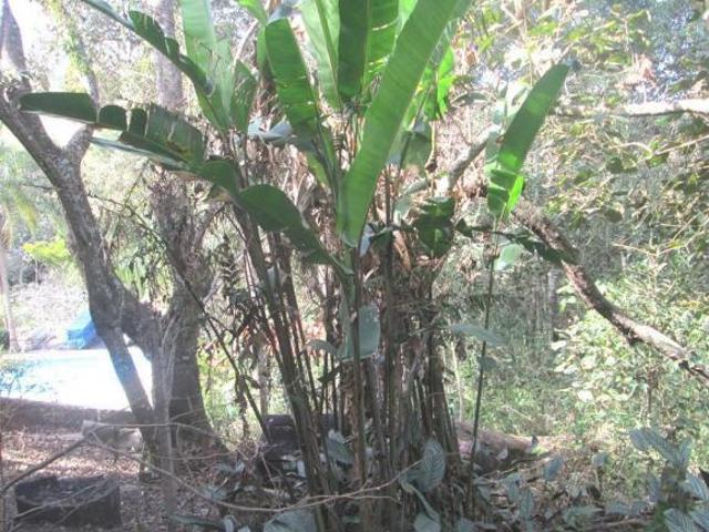 Terreno venda em Região Imediata de Bragança Paulista, Pinhalzinho