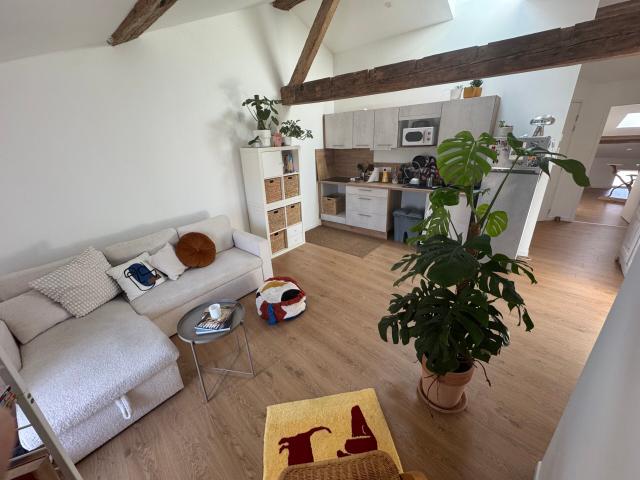 Appartement location à Albi, Réalmont