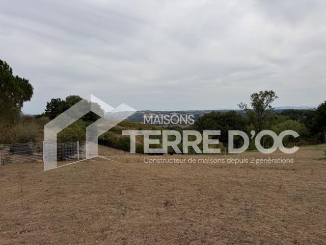 Maison vente à Albi, Réalmont