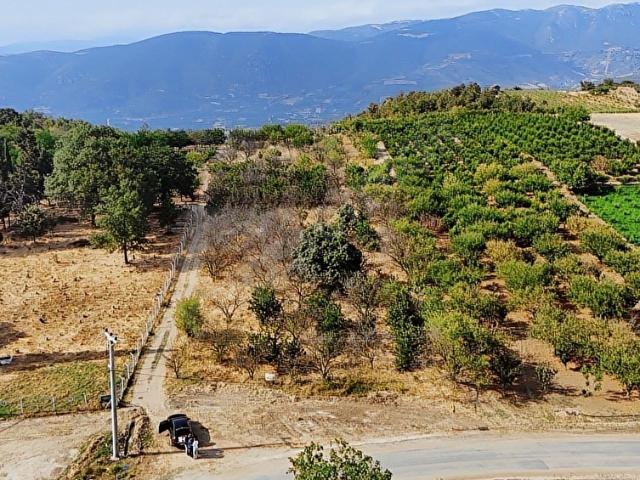 İznik, Bursa içerisinde satılık Arsa
