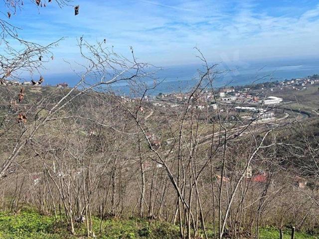 Ordu içerisinde satılık mülk