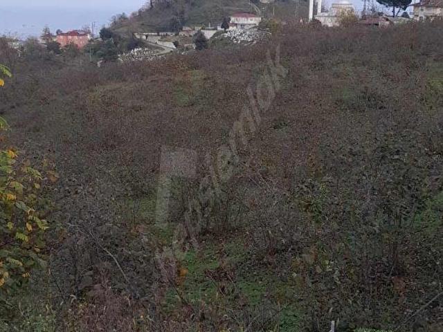Beyli Mahallesi, Perşembe içerisinde satılık Arsa