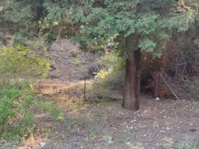 Marmaris, Muğla içerisinde satılık Arsa