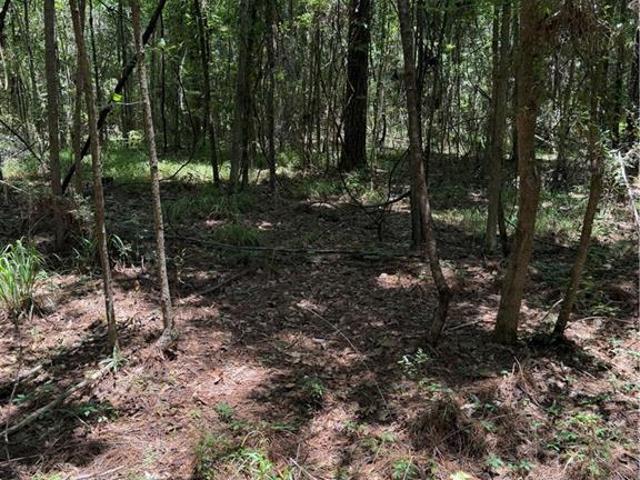 Land for sale in Zachary, Louisiana