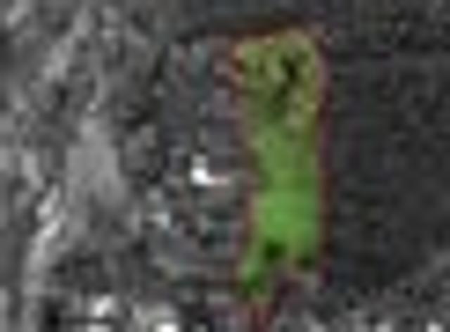 Land for sale in Otakou