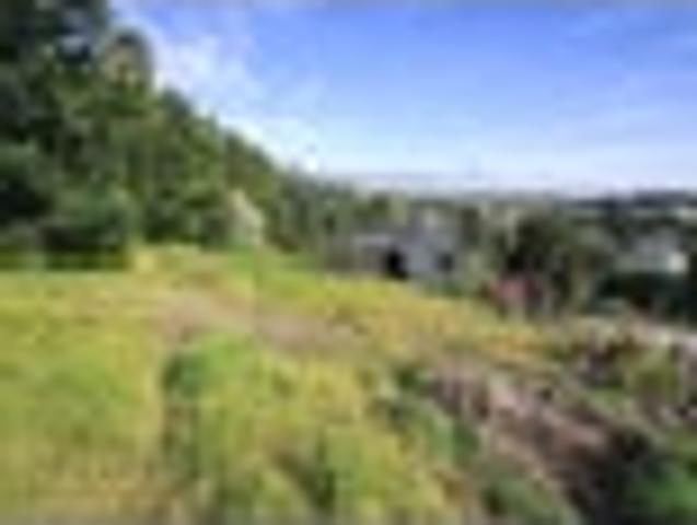Land for sale in Thames, Waikato