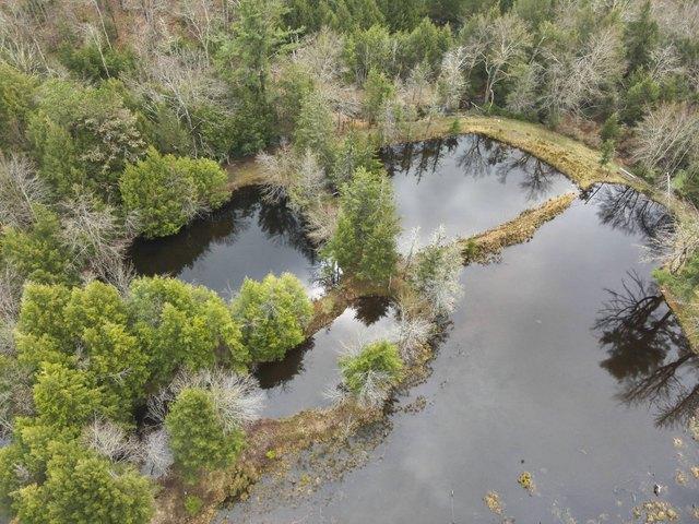 House for sale in Bear Creek, Alabama
