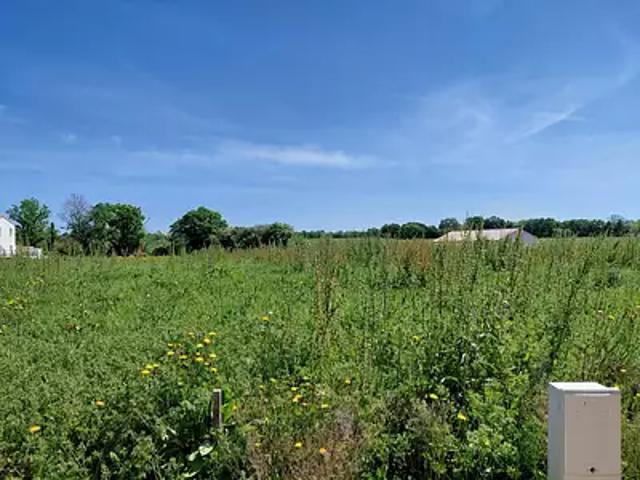Terrain vente à Fontenay-le-Comte, Réaumur