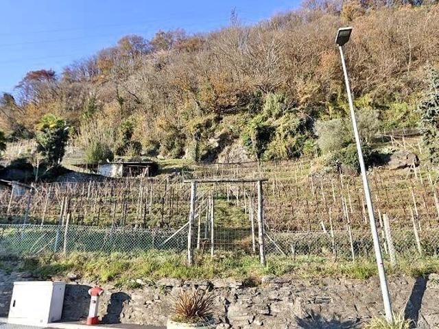 Immobilie kaufen in Bellinzona, Tessin