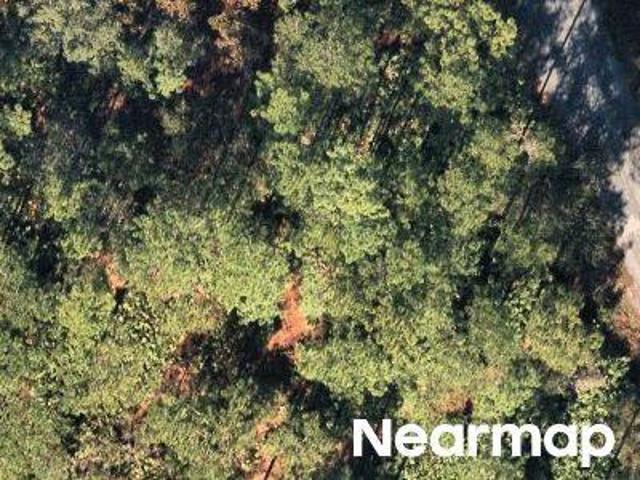 Land for sale in Homosassa, Florida