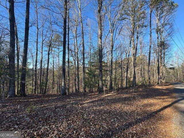 Land for sale in Pickens, Georgia