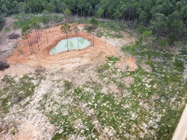 Land for sale in Polk, Texas