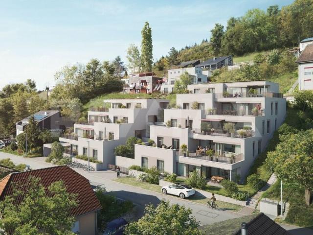 Immobilie kaufen in Oberhofen (AG), Aargau