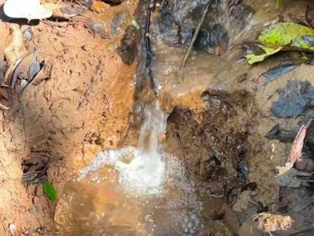 Terreno venda em Bom Repouso