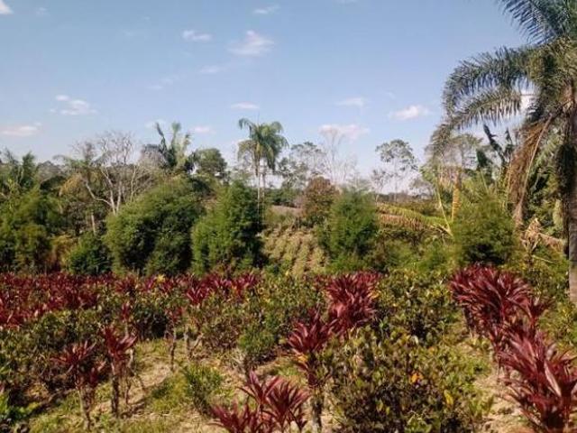 Sítio e chácara venda em Região Imediata de São Paulo, Região Metropolitana de São Paulo