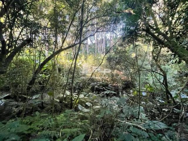 Sítio e chácara venda em Região Geográfica Imediata de Caxias do Sul, Feliz