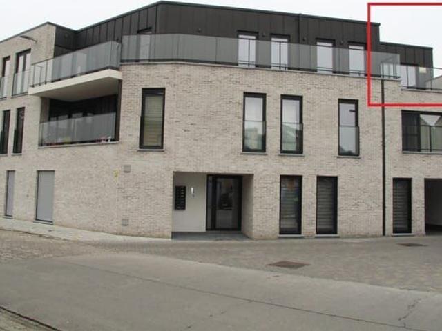 Kot location à Berlare, Oost-Vlaanderen
