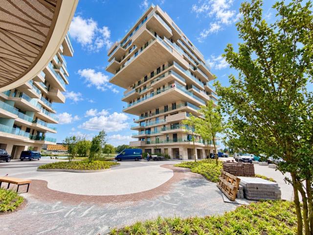 Appartement location à Waregem