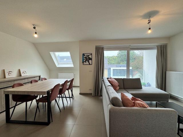 Kot location à Olsene, Oost-Vlaanderen