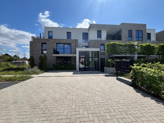 Kot location à Hoogstraten