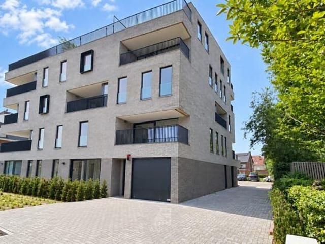 Kot location à Desteldonk, Oost-Vlaanderen