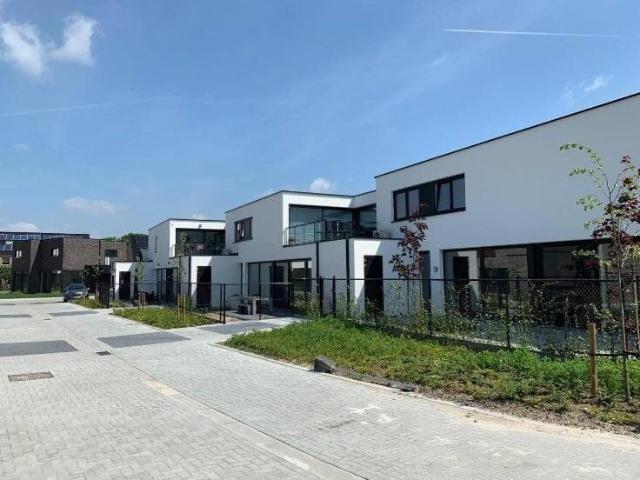 Appartement location à Maaseik, Limburg