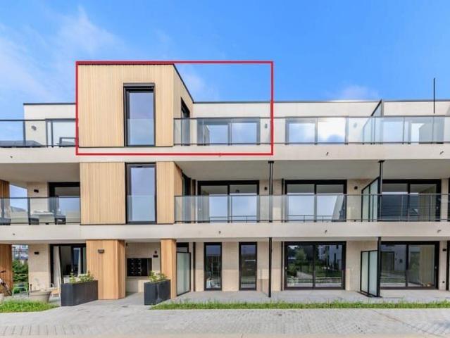 Kot location à Dendermonde, Oost-Vlaanderen