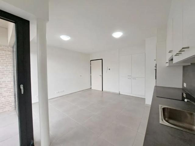 Appartement location à Maasmechelen, Limburg