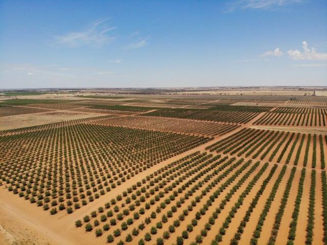 Acreage for sale in Red Cliffs, Victoria