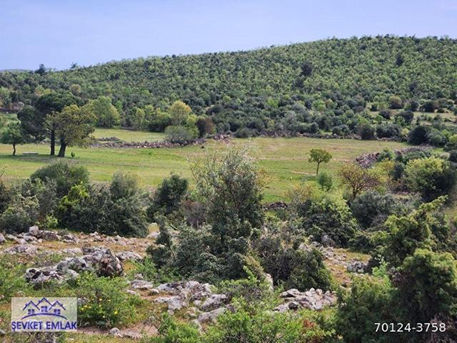 İzmir içerisinde satılık Arsa
