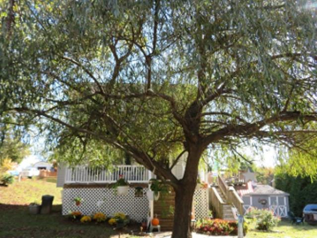 House for sale in Chesapeake Beach, Maryland