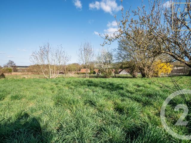 Terrain vente à Avesnes-sur-Helpe, Recquignies