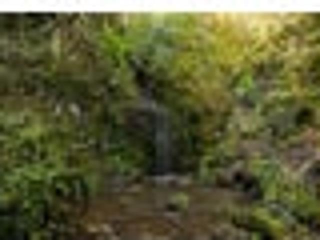 Land for sale in Murchison, Tasman