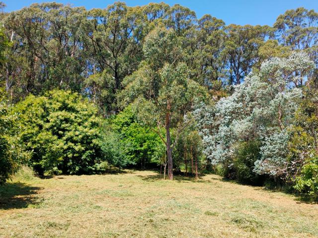 Property for sale in Kinglake, Victoria