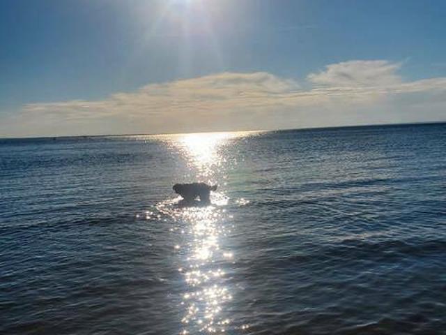 House for sale in Wedgewood, Alberta