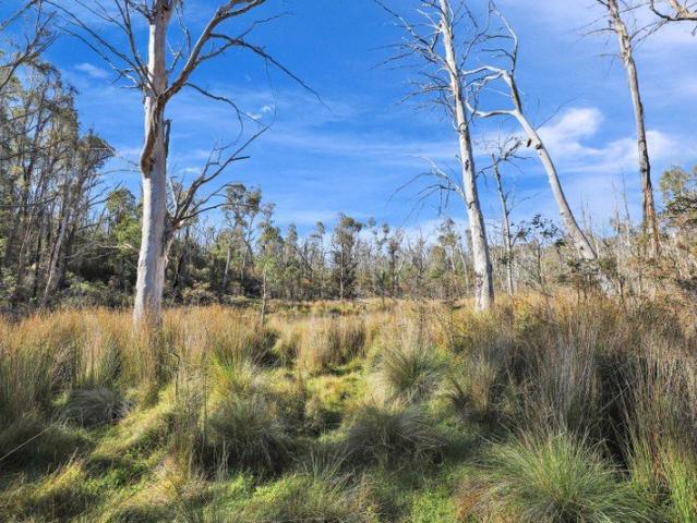 Cottage for sale in Creewah, New South Wales
