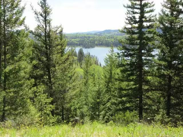 House for sale in Caribou Hide, British Columbia