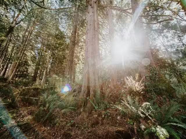 House for sale in Sechelt, British Columbia