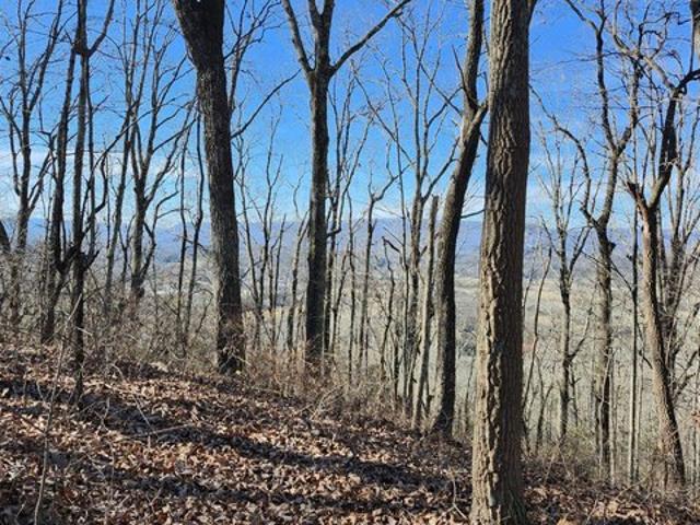 Land for sale in Tennessee