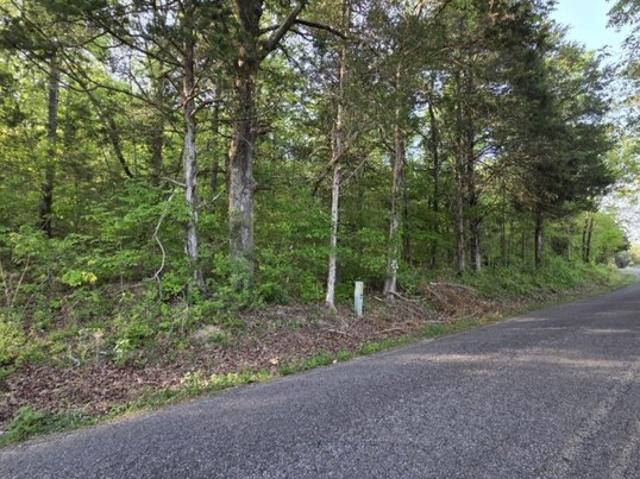 Land for sale in Lobelville, Middle Tennessee