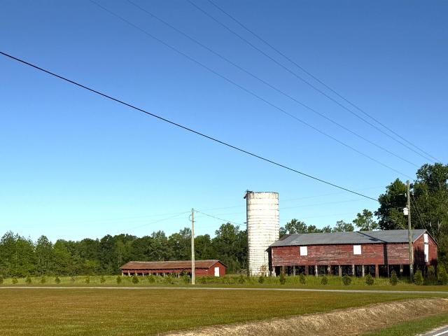 Land for sale in Scranton, South Carolina
