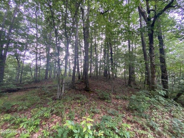 Land for sale in Hayesville, North Carolina