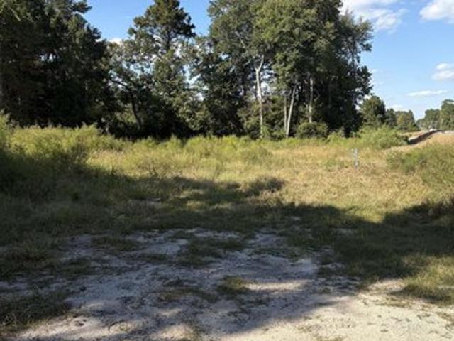 Land for sale in Loris, Horry County