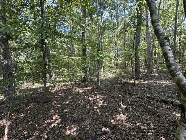 Land for sale in Big Sandy, West Tennessee