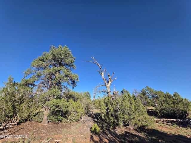 Land for sale in Williams, Arizona